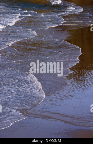 Indian Beach, Ecola State Park, Lewis & Clark National Historic Park, Oregon Foto Stock