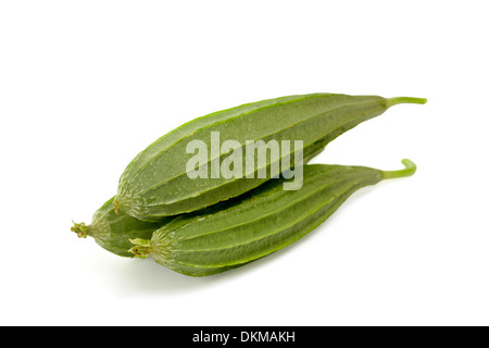 Ridge zucche isolati su sfondo bianco Foto Stock