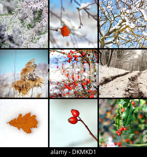 Il collage con immagini inverno dalla natura Foto Stock