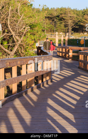 La gente che camminava sulla nuova passerella che conduce alla spiaggia di parcheggio auto in foresta Newborough, Isola di Anglesey, Galles del Nord, Regno Unito, Gran Bretagna Foto Stock