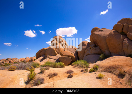Cranio rock nel Parco nazionale di Joshua Tree Mohave desert Yucca Valley California USA Foto Stock