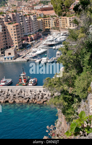 Verticale vista aerea degli edifici e marina, Monaco, sovrano città-stato, Riviera Francese, Europa occidentale. Foto Stock