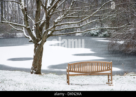 Neve fresca al crepuscolo crea modelli su un laghetto congelato e una panca in Pennsbury Township Park, Pennsylvania, STATI UNITI D'AMERICA Foto Stock