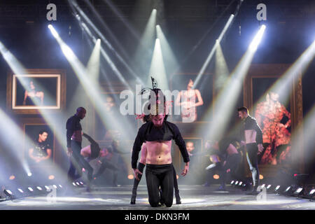 Birmingham, Regno Unito. Il 7 dicembre, 2013. Principali mostrano presso i vestiti Show Live, ballerini e dei modelli per la folla sulla passerella Credito: Paolo Hastie/Alamy Live News Foto Stock