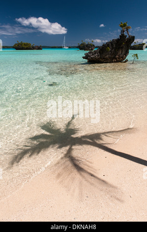 L'ombra di una palma da cocco albero su una spiaggia tropicale, uno yacht da crociera all'ancoraggio e vedute di calcare motus, piccoli isolotti eroso in Fulaga laguna. Isole Figi Foto Stock