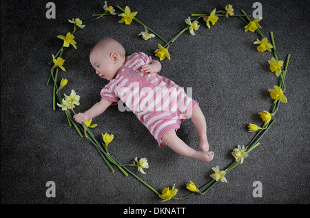 Baby lay in narcisi in primavera Foto Stock