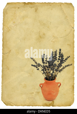 Lavanda in vaso in terracotta sul vecchio sfondo della carta Foto Stock