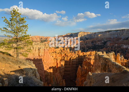 Bryce Canyon Bryce Canyon National Park, Utah, Stati Uniti d'America Foto Stock