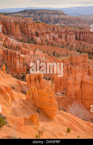 Bryce Canyon all'alba dal punto di tramonto, Parco Nazionale di Bryce Canyon, Utah, Stati Uniti d'America Foto Stock