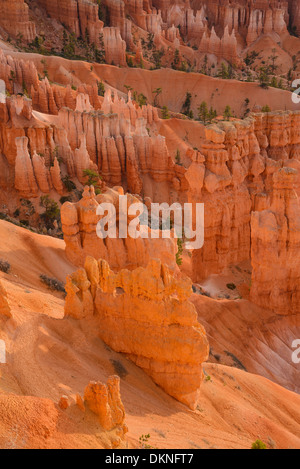 Bryce Canyon all'alba dal punto di tramonto, Parco Nazionale di Bryce Canyon, Utah, Stati Uniti d'America Foto Stock