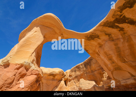 Metate Arch, Devils Garden, la grande scala Escalante National Monument, Utah, Stati Uniti d'America Foto Stock