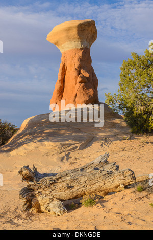 Hoodoos, Devils Garden, la grande scala Escalante National Monument, Utah, Stati Uniti d'America Foto Stock