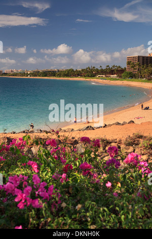 Stati Uniti d'America, Hawaii Maui Kaanapali Beach Foto Stock