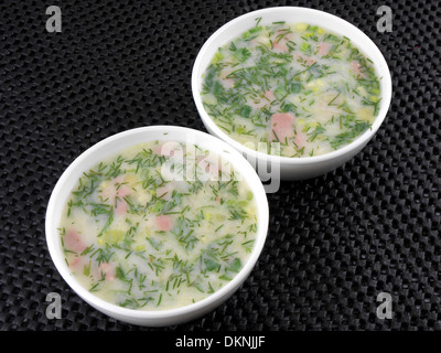 Freddo russo zuppa di verdure su yogurt (sour-latte) base - okroshka Foto Stock