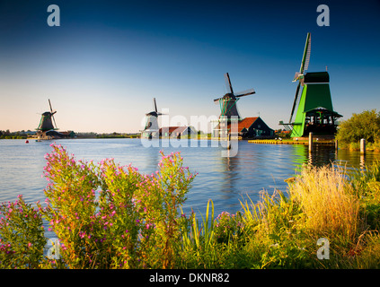Mulini a vento. Zaanse Schans, Zaanstad , Zaandam, North Holland provincia, Holland, Paesi Bassi, Europa Foto Stock