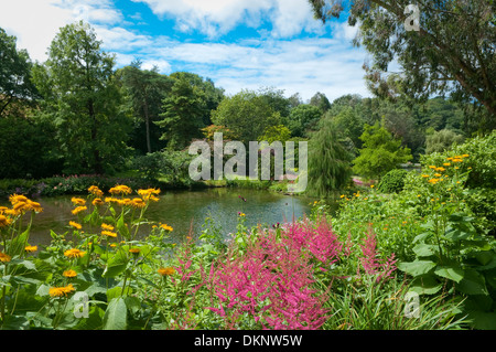 Giardino Lago in Marwood Hill Gardens nel Devon UK. Foto Stock