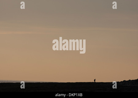 Distante lone figura minuscola su a piedi sulla spiaggia al tramonto Foto Stock