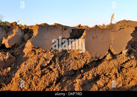 Vista in sezione della terra di fresco campo arato Foto Stock