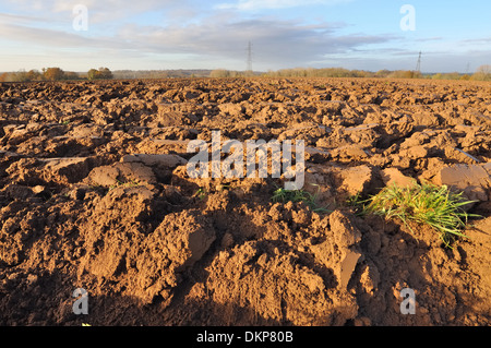 Terra di una fresca campo arato da una soleggiata giornata di caduta Foto Stock