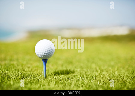 Palla da golf sul raccordo a T Foto Stock