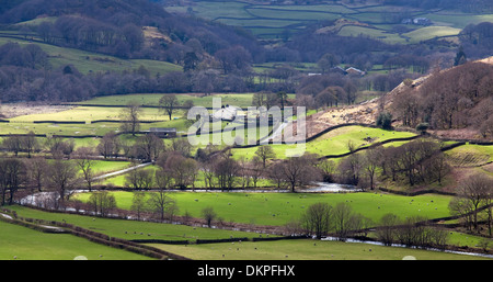 Alberi e pascoli nel paesaggio rurale Foto Stock