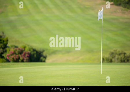 Il flag nel foro sul campo da golf Foto Stock