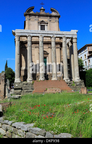 Tempio di Antonino e Faustina, Foro Romano, Roma, Italia Foto Stock