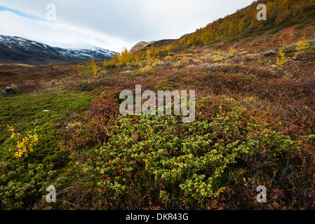 Europa Karsavagge Nord Europa Svezia Scandinavia Skanden Lapponia alpina paesaggio di montagna paesaggio di montagna Foto Stock