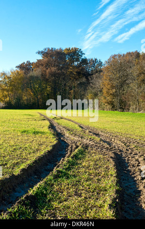Il pneumatico del trattore le tracce in campo di fattoria - Francia. Foto Stock
