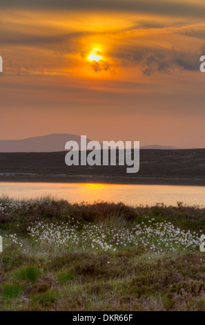 Vista di un tramonto a Glaslyn, un lago di montagna vicino a Plynlimon nel Cambriano montagne. Powys, Galles. Giugno. Foto Stock