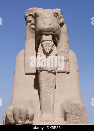 Scatto frontale di un cilindro con testa di Sphinx in pietra in Egitto Foto Stock