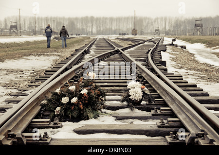 Fiori posti sui binari del treno in Auschwitz Birkenau Polonia Foto Stock