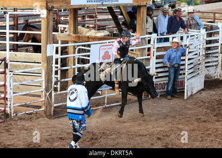 Cowboy a cavallo dei contraccolpi bronco presso il Rimrock rodeo, Grand Junction, Colorado, STATI UNITI D'AMERICA Foto Stock