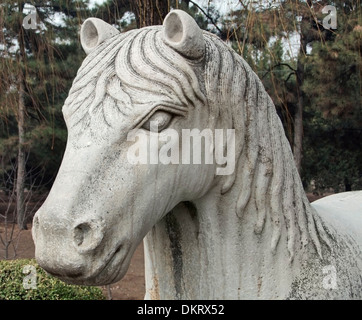 Dettaglio di uno storico cinese scultura in pietra situato alla dinastia Ming tombe Foto Stock