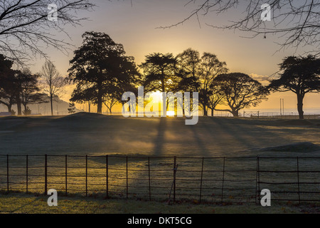 Early Morning mist su Torre Abbey,Torquay, Devon,acqua, all'aperto, la luce del sole, sunbeam, costa, caldo, nessuno, mare viaggi, calma, Foto Stock