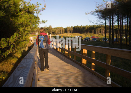 Foresta Newborough Anglesey North Wales UK femmina camminando lungo la nuova passerella verso il rinnovato parcheggio auto per gli escursionisti ciclisti Foto Stock