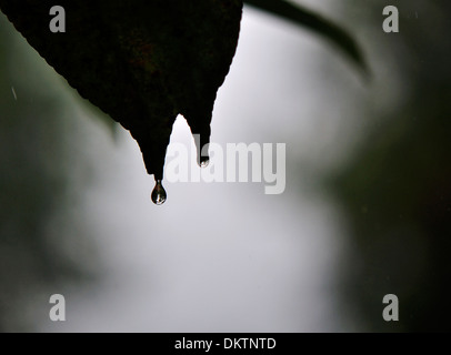 Discesa, appena prima di cadere.. Foto Stock