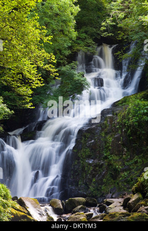 Cascata Torc. Parco Nazionale di Killarney. Contea di Kerry, Irlanda, Europa. Foto Stock