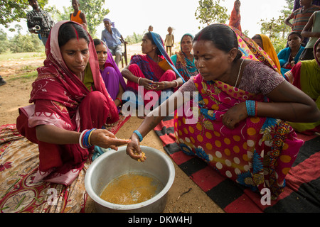 Le donne frequentano un trattamento delle sementi di dimostrazione dello stato del Bihar, in India, al fine di aumentare la resa del prodotto. Foto Stock