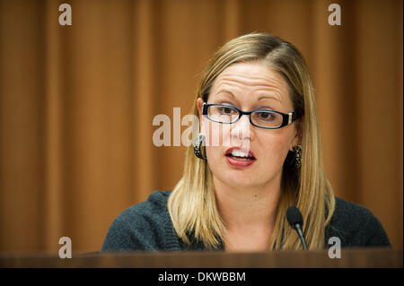 Tucson, Arizona, Stati Uniti. Il 9 dicembre, 2013. Sost. KYRSTEN SINEMA (D-Ariz.) parla di un campo audizione di Tucson, in Arizona Assemblea soci dell emisfero occidentale sottocomitato, sotto la commissione per gli affari esteri, ha tenuto una audizione del campo di Tucson, in Arizona circa i modi per migliorare il commercio transfrontaliero con il Messico. I testimoni hanno testimoniato che il valico di frontiera di volte sono sia inaccettabile e che ne ostacolano lo sviluppo economico. Credito: Sarà Seberger/ZUMAPRESS.com/Alamy Live News Foto Stock