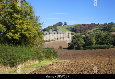 Terreni agricoli a Meon colle nei pressi del villaggio Costwold di Mickleton, Gloucestershire, Inghilterra. Foto Stock