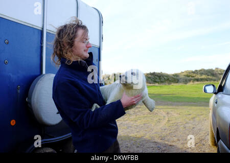 Salvato cucciolo di tenuta rimosso dal veicolo 4x4 e portato in un'area temporanea di contenimento alla stazione della guardia costiera, Winterton-On-Mare, Norfolk, Inghilterra Foto Stock