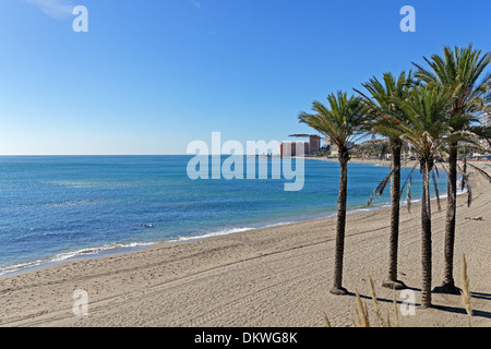 Europa Spagna ES Andalusia Benalmadena Costa Carretera Cadiz Palme spiaggia di Baia Mare vacanza costruzione alberi Foto Stock