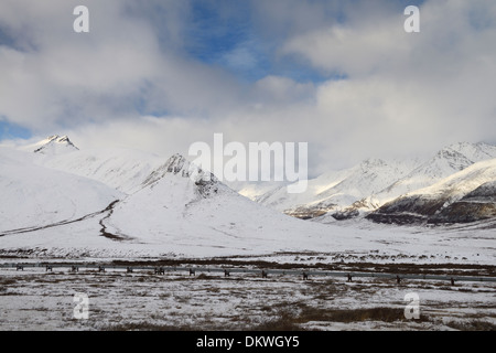 Caribou mandria e Alyeska oleodotto in Brooks Range montagne dell Alaska USA Foto Stock