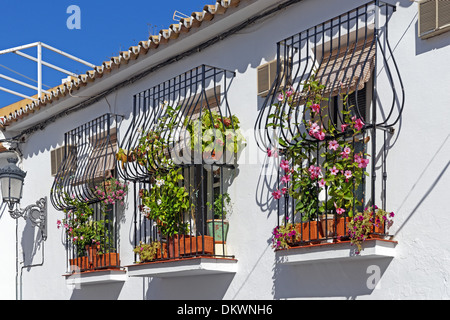 Europa Spagna ES Andalusia Benalmadena Pueblo Calle Marbella tipico Andaluso con street view architettura decorazioni di fiori Foto Stock