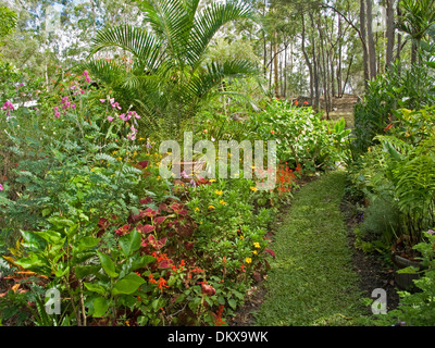 Spettacolare sub-tropicale giardino cottage con fogliame color smeraldo e colorati di arbusti fioriti, le piante perenni e prato sotto le palme Foto Stock