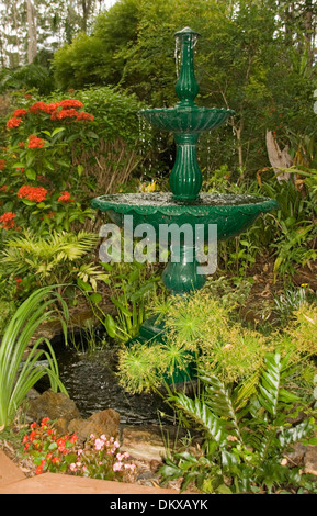 Spettacolari e lussureggianti sub-tropicale giardino con fontana decorativa acqua caratteristica, fogliame color smeraldo, arbusti e piante perenni Foto Stock