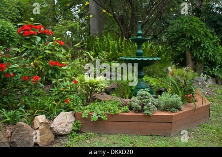 Giardino sub-tropicale con un fitto di alberi, arbusti e fiori colorati che circondano la funzione acqua / laghetto ornato di fontana Foto Stock