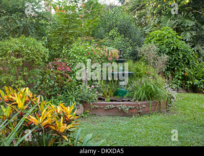 Giardino sub-tropicale con fitta emerald alberi, arbusti, fiori colorati che circondano la funzione acqua / laghetto con fontana e prato Foto Stock