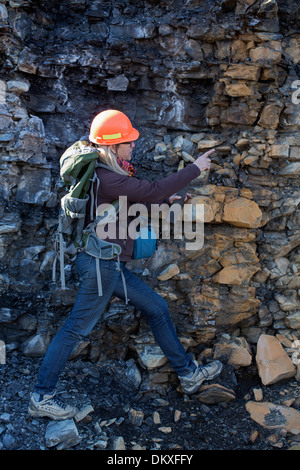 Geologo femmina esaminando Marcello shale, vicino a Marcello New York, fonte di gas naturale e oggetto di polemica fracking Foto Stock